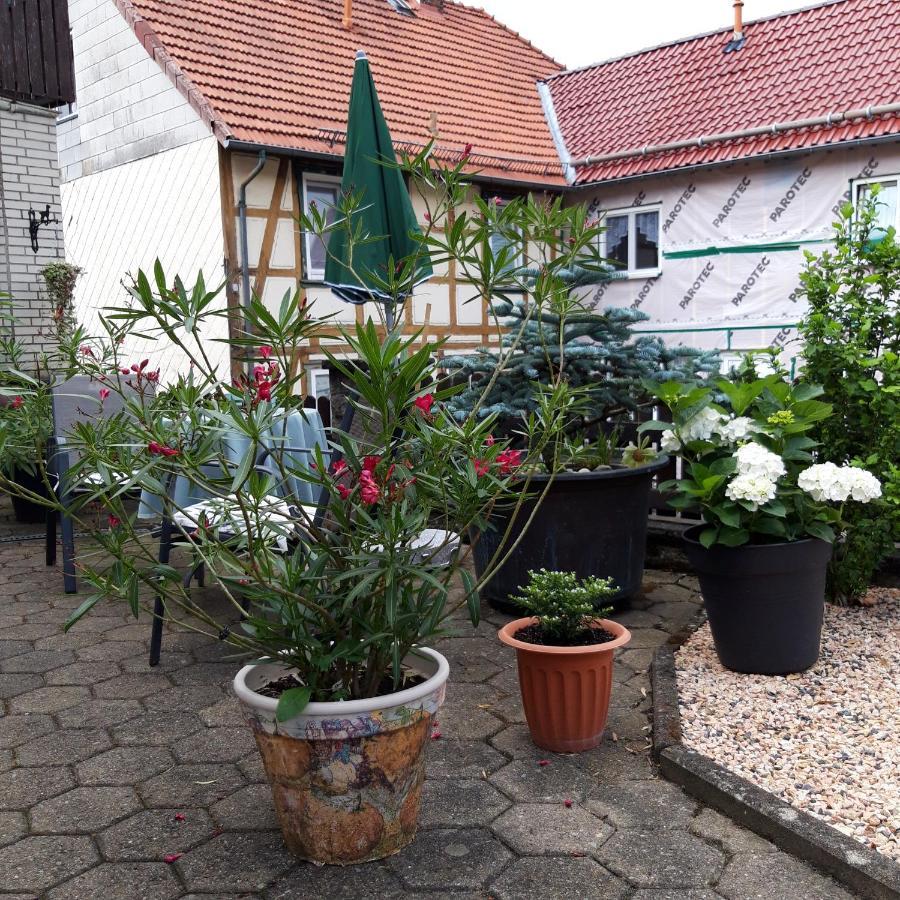 Ferienwohnung Am Berge 볼프샤겐 외부 사진